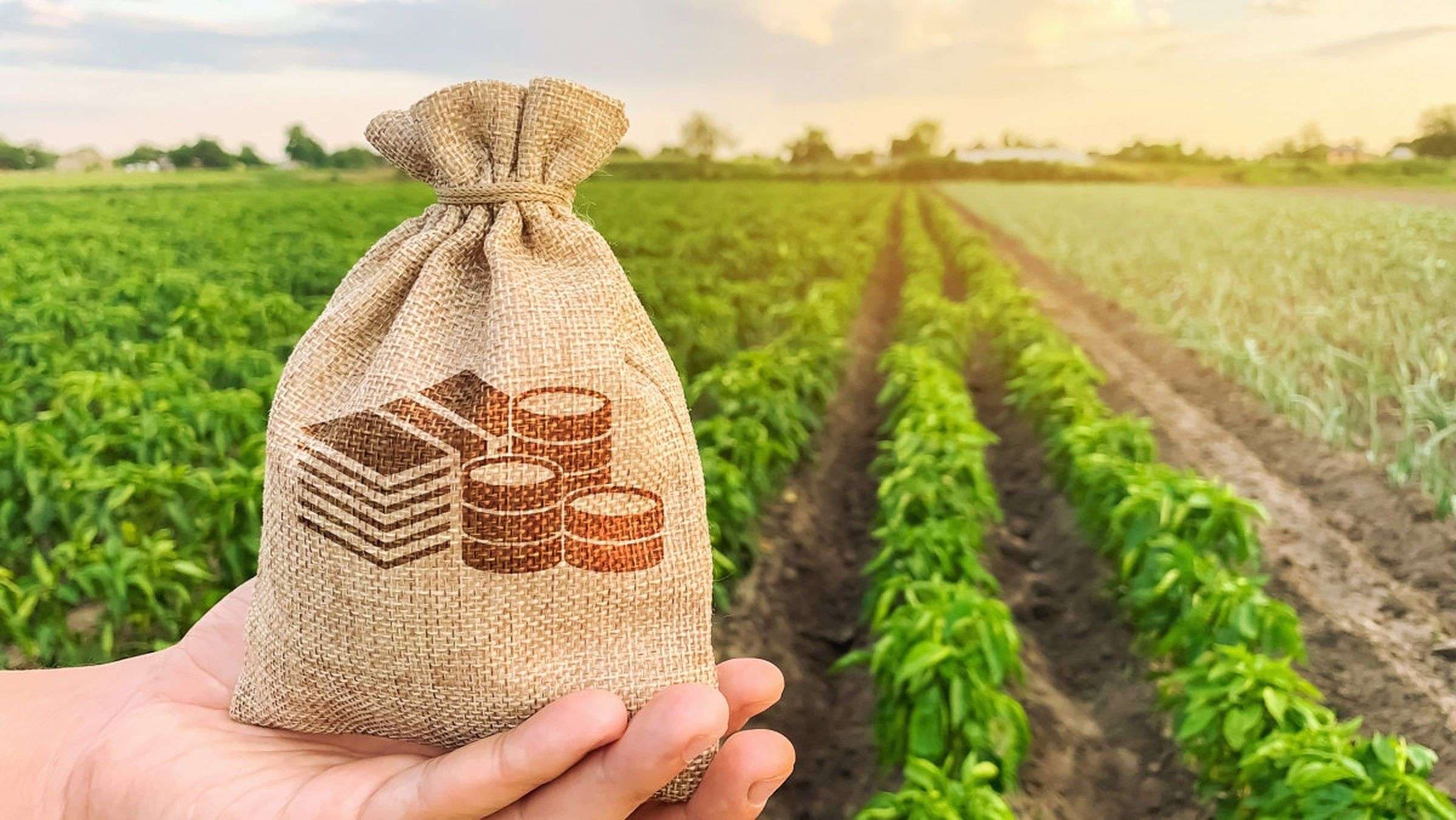 Parlamentul reglementează subvențiile în agricultură