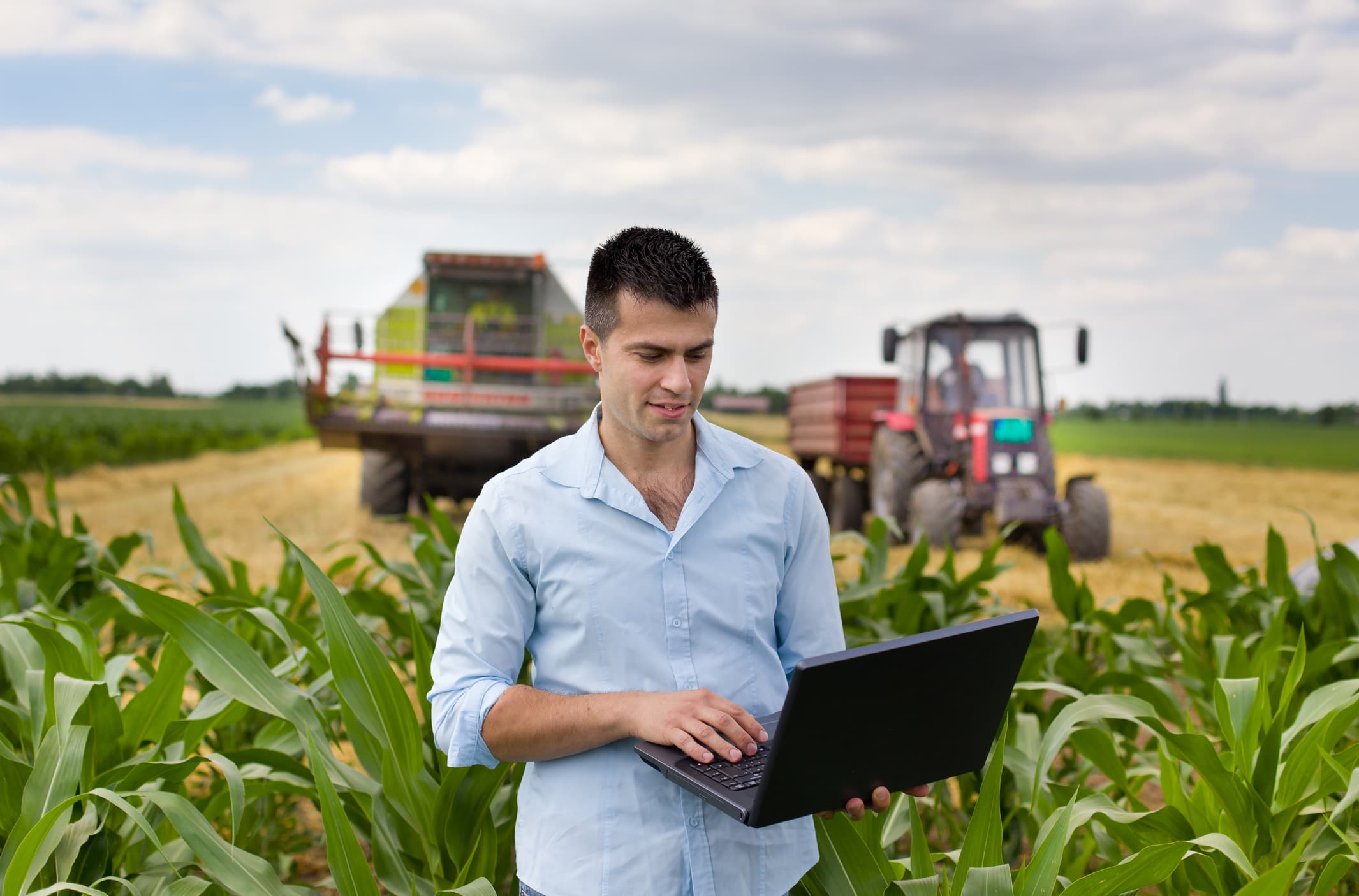 Peste 900 mii euro pentru cercetarea aplicată în agricultură. Guvernul sprijină inovația