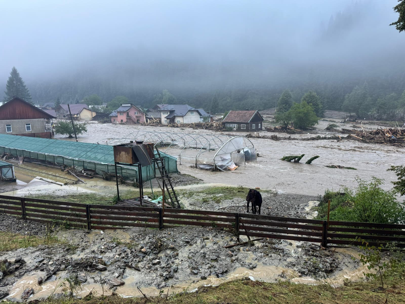 Inundații devastatoare în județele Suceava și Neamț din România