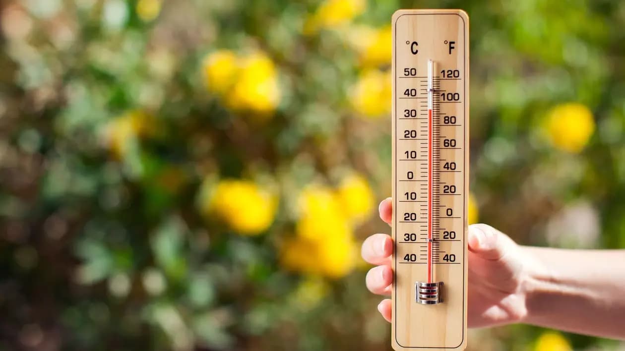 Vreme stabilă și temperaturi confortabile: Prognoza pentru întreaga țară în ultima zi din iulie