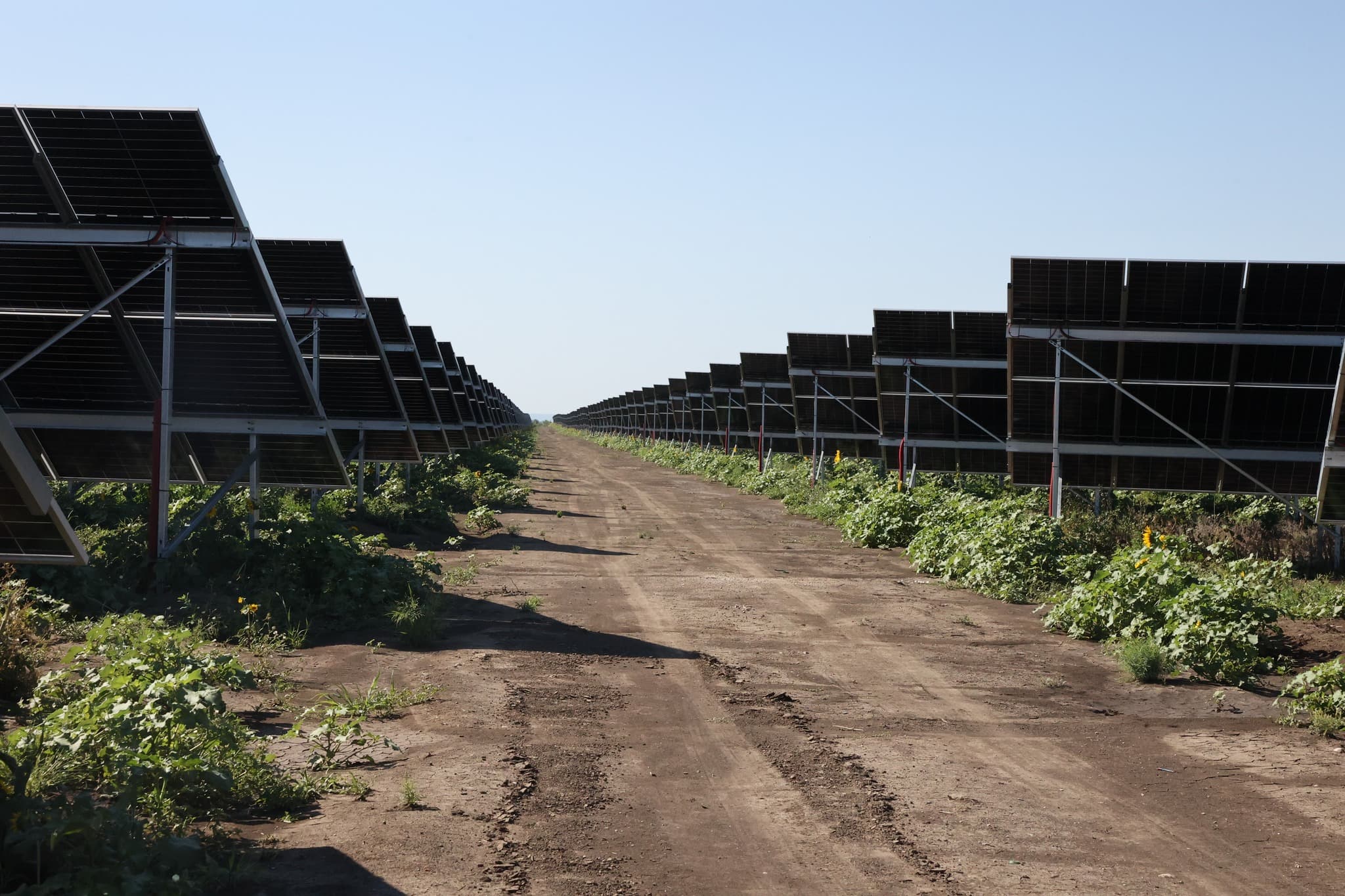 Parcul fotovoltaic de la Negureni, al doilea ca mărime din Moldova