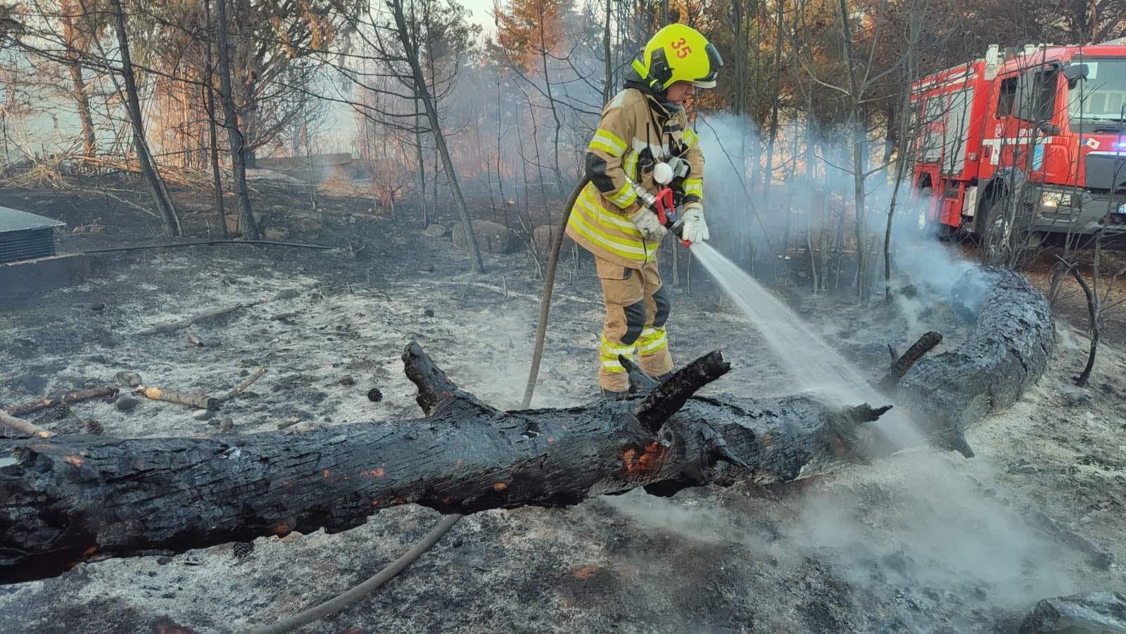 În ultimile 3 zile în Grecia au avut loc mai multe incendii