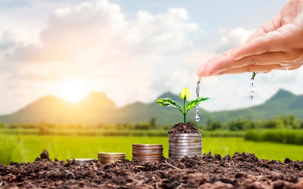 AIPA lansează Campania privind informarea fermierilor despre „Oportunitățile de subvenționare din FNDAMR – 2025”