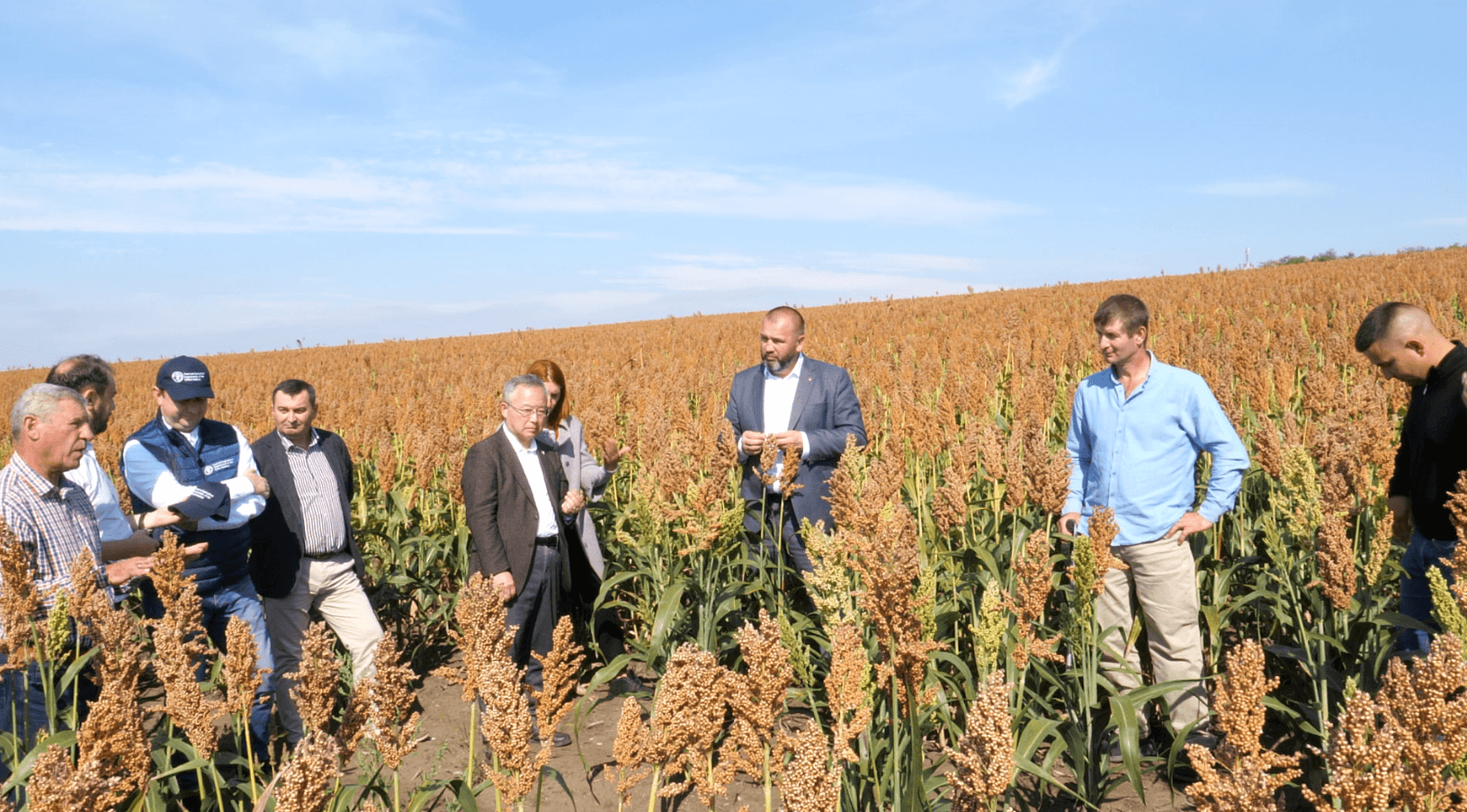 Cultura de sorg, o speranță pentru agricultori în condiții de secetă