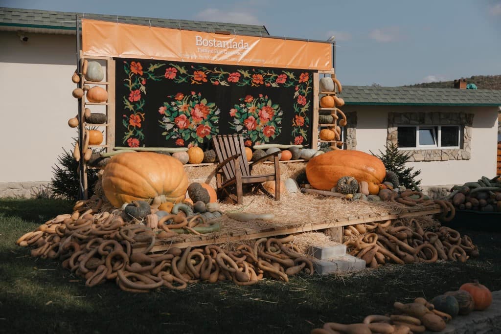 Weekend plin de evenimente: Festivalul Etno Gastronomic „Bostaniada” și Festivalul Pădurilor