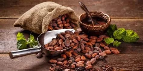 Prețurile mondiale la cacao scad semnificativ: Se așteaptă un surplus global, dar riscurile de aprovizionare persistă