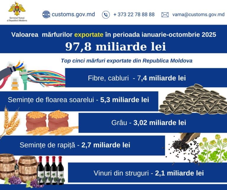 Top 5 produse exportate de Republica Moldova: Fibrele și cablurile domină piața