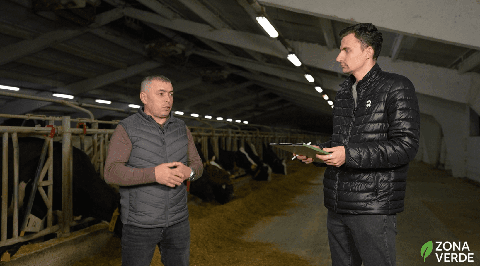 Rasa de vaci Holstein este cea mai productivă rasă de bovine de lapte din lume