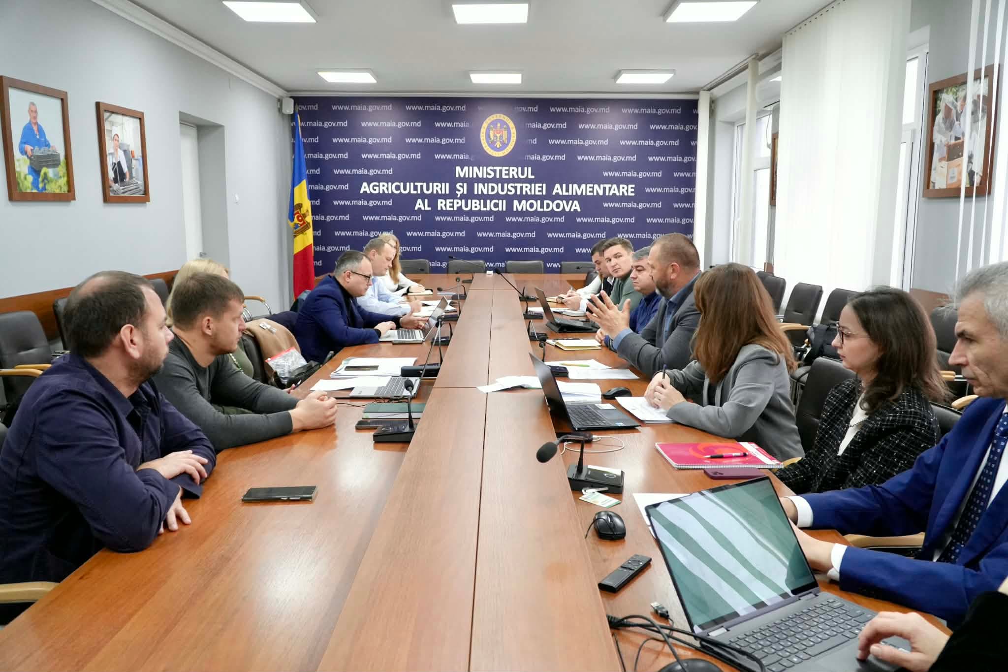 Abuzul termenilor „eco” și „bio”, analizat de autorități: Măsuri mai dure în pregătire