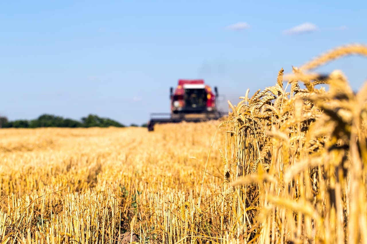 Legea camerelor agricole, contestată la Curtea Constituțională