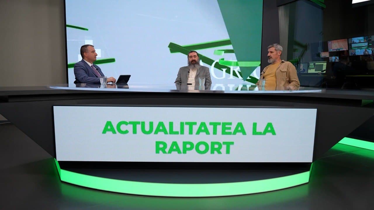 Piața EcoLocal: Succesul produselor ecologice și artizanale în Moldova care atrag turiști și sprijină afacerile locale
