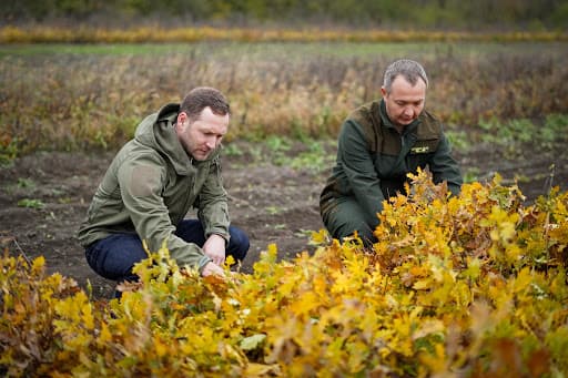 1,7 milioane de euro pentru primul inventar forestier național