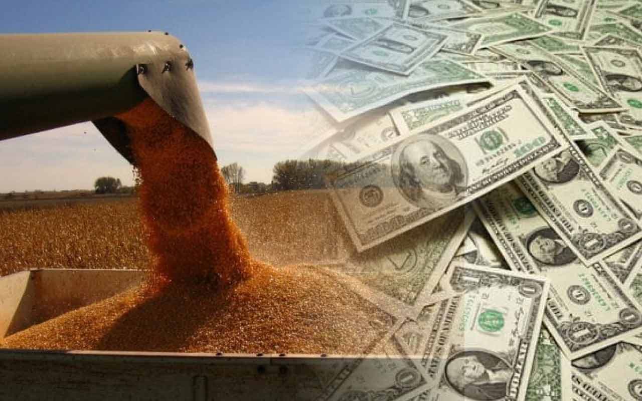 Escrocherii în comerțul cu cereale: fermieri victime ale tranzacțiilor false