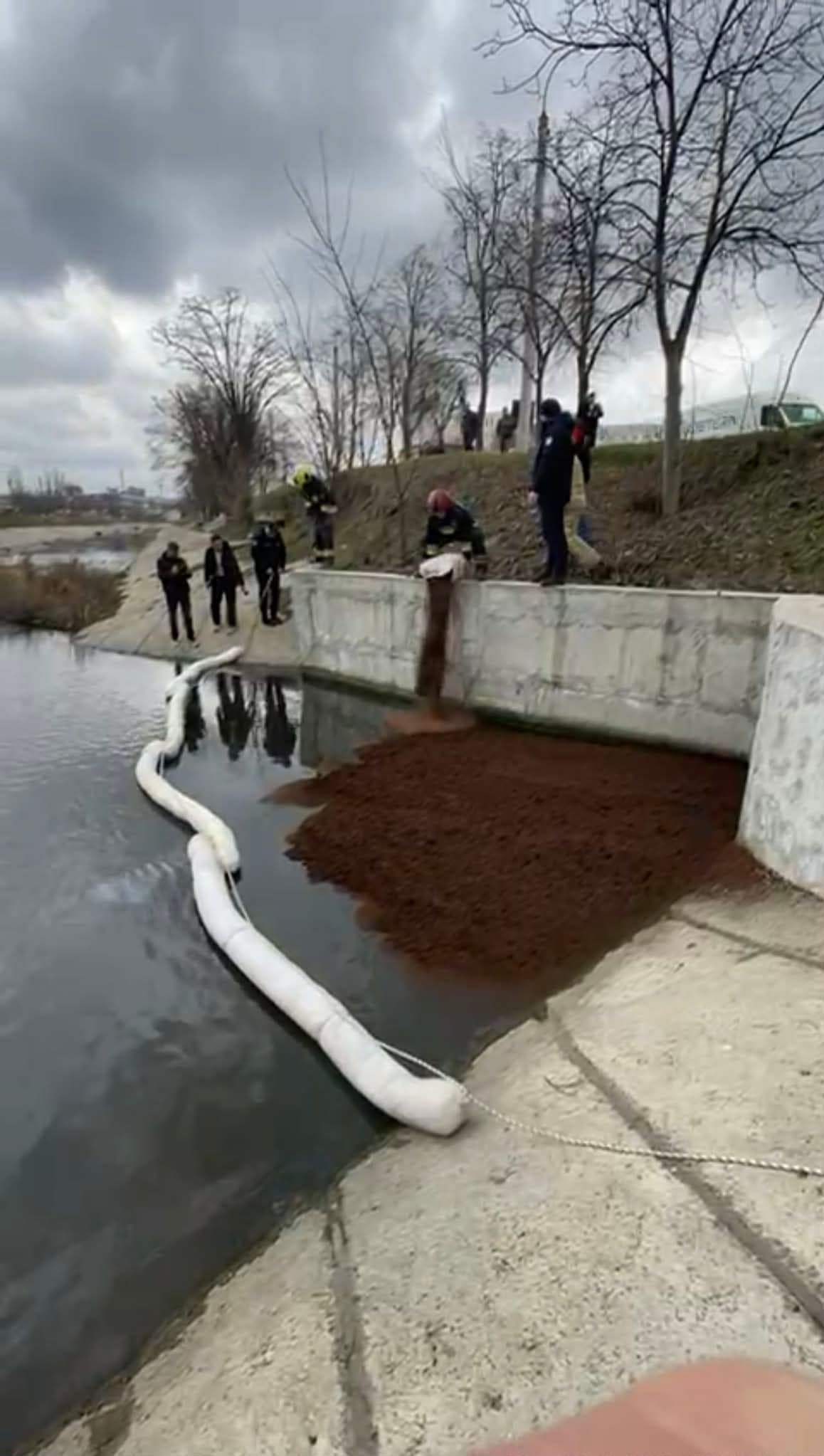 Poluare pe râul Bîc: Autoritățile intervin de urgență