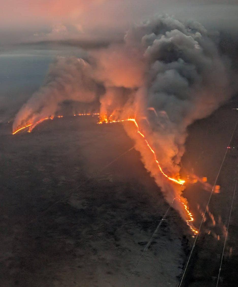Incendiu de proporții în Florida: mii de hectare de pădure cuprinse de flăcări