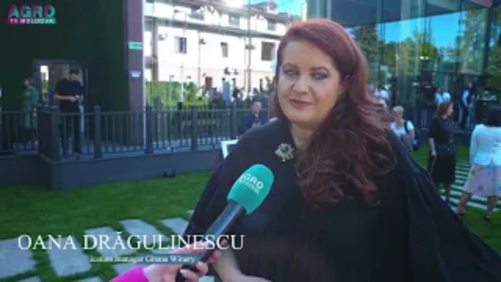 Vinăria Gitana – tradiție și vinuri de referință din Republica