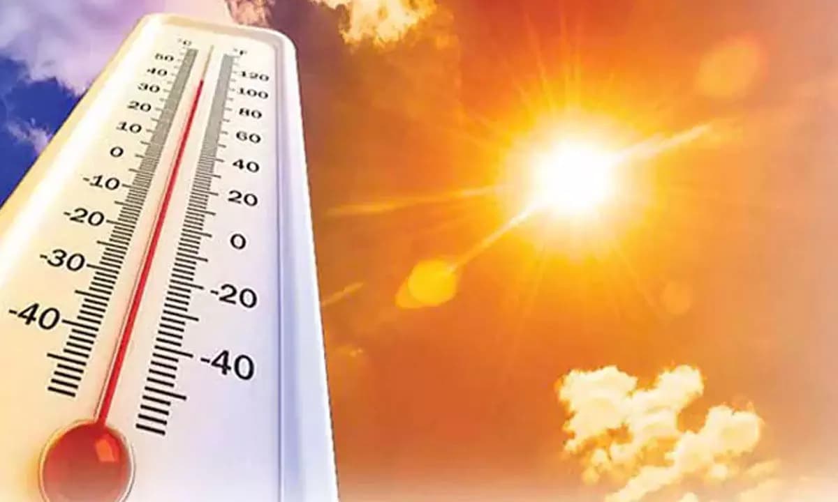 Europa, sufocată de canicula extremă