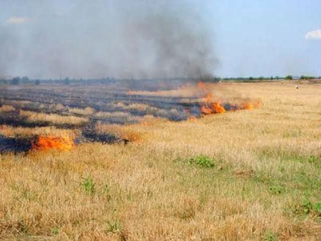 Caniculă și risc de incendii: Avertizări pentru populație