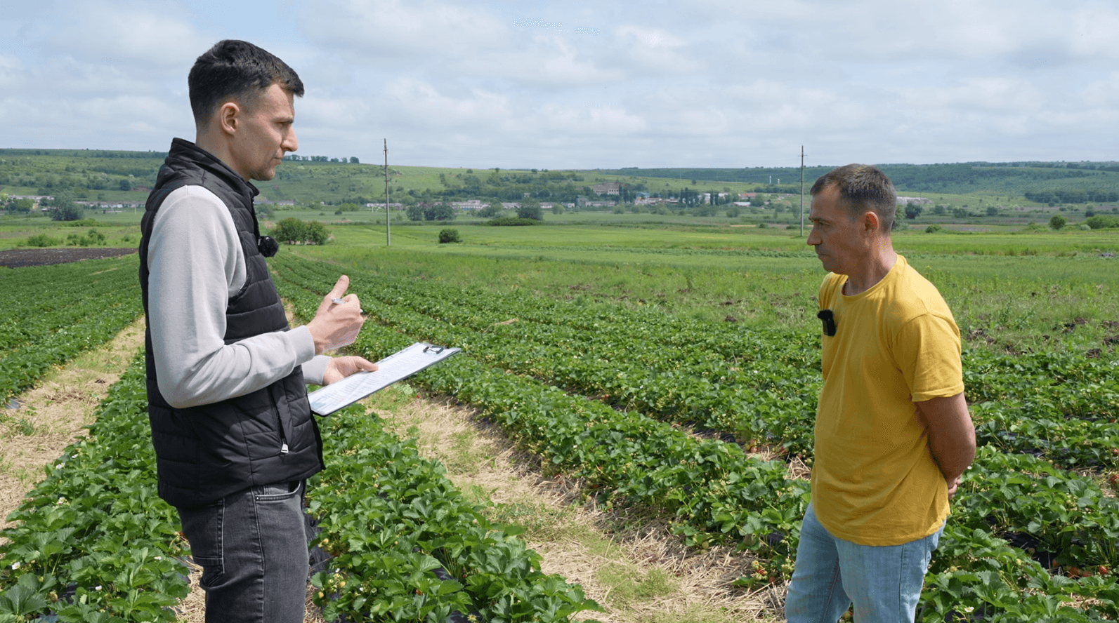 Agricultorii raportează pierderi din cauza înghețurilor