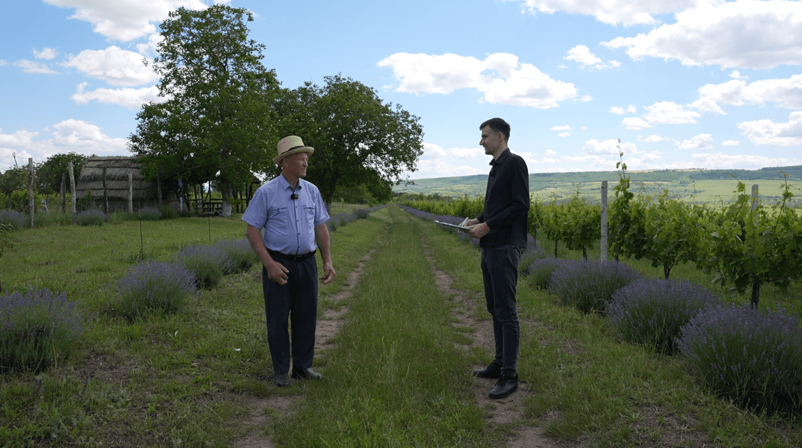 Agricultorii se confruntă cu o lipsă a brațelor de muncă