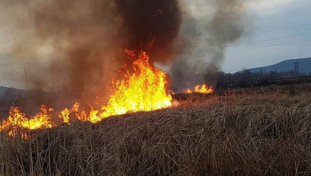 Cod galben de pericol de incendii în Republica Moldova
