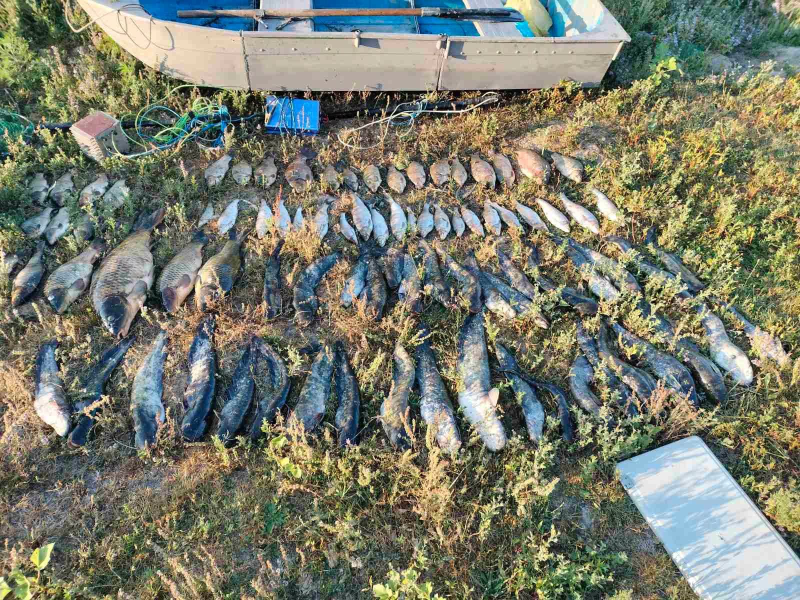 Peste 55 kg de pește, capturat ilegal pe Nistru