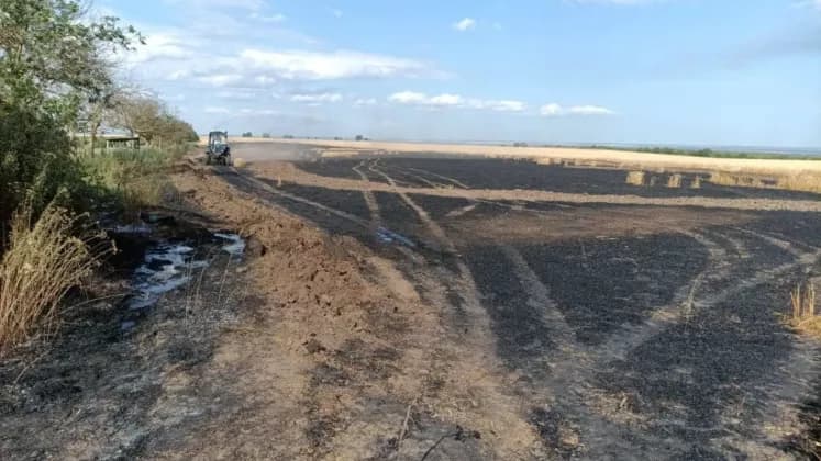 Șapte hectare de grâu, mistuite de flăcări la Tudora