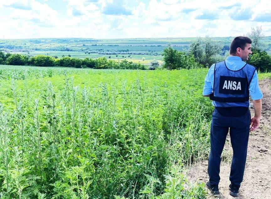 ANSA intensifică controalele