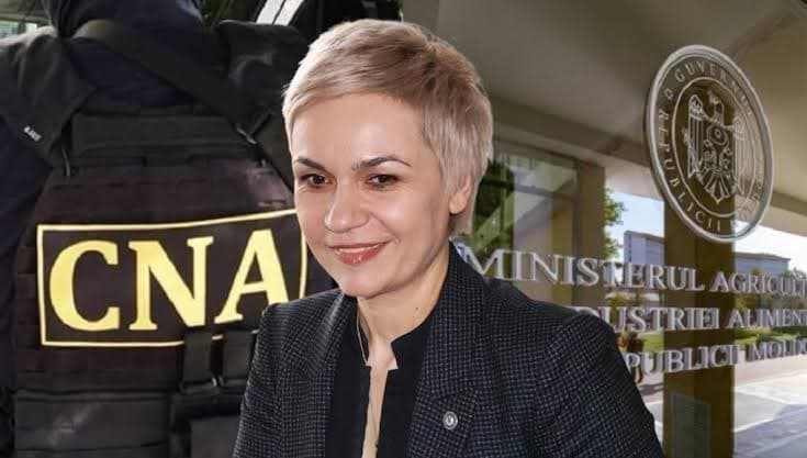 Secretară de stat plasată în arest pentru 30 de zile