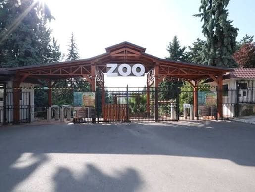 Animalele de la Zoo, sunt protejate de caniculă cu „înghețată” și dușuri răcoritoare