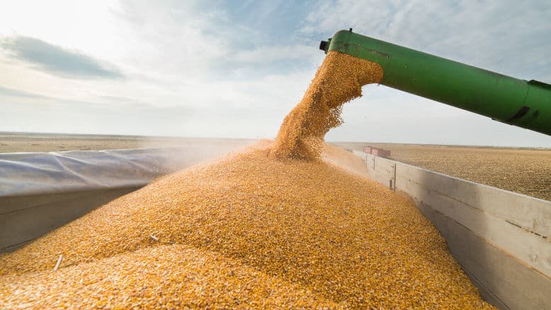 Fermierii avertizează că TVA de 12% ar putea provoca falimente în sector