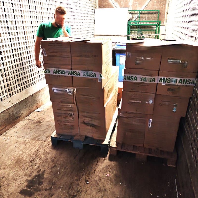 24 de tone de alimente, nimicite de ANSA