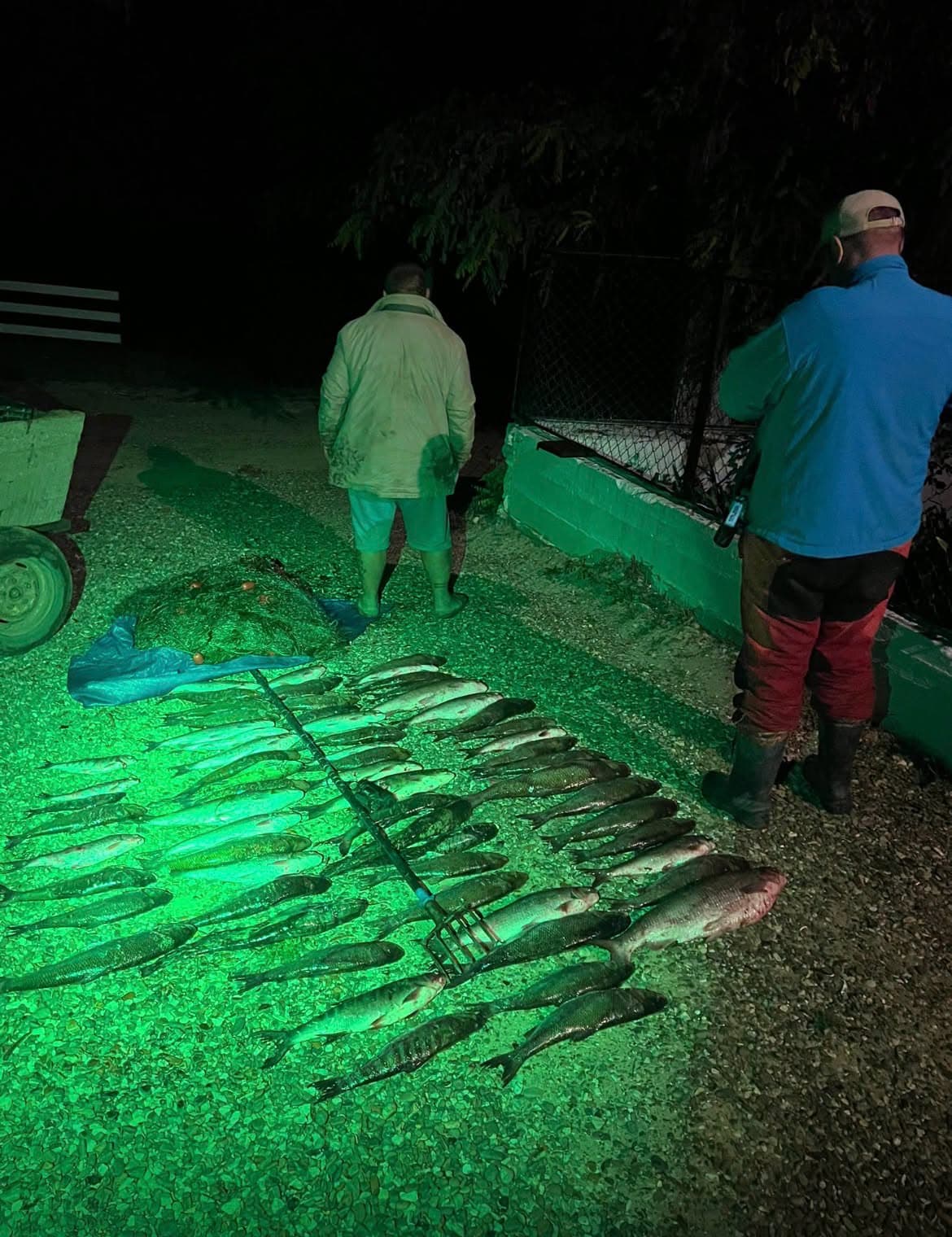 Doi braconieri, prinși în flagrant pe Nistru. Prejudiciul se ridică la aproape 700 de mii de lei