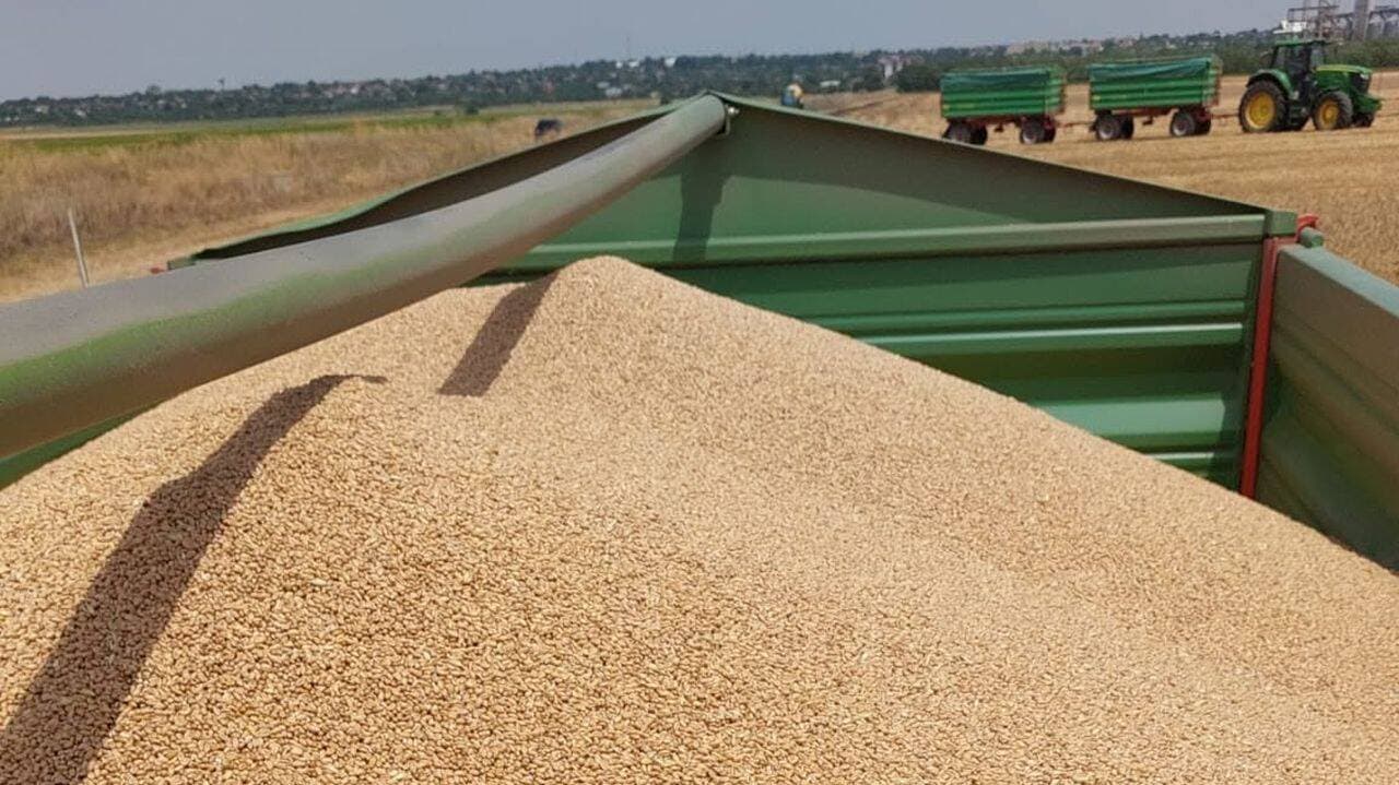 Republica Moldova vinde grâu cu 3,71 lei/kg și importă făină cu 7,69 lei/kg