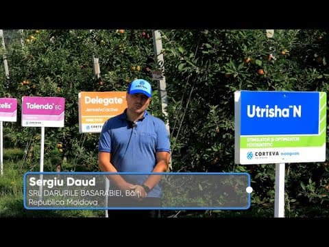 Sergiu DAUD, SRL Darurile Basarabiei, R. Moldova