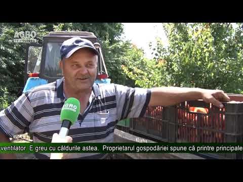 AGRO TV News - 03. 07. 2019