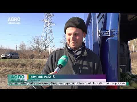 Cât o să mai stea cu pepenii pe marginea drumului?
