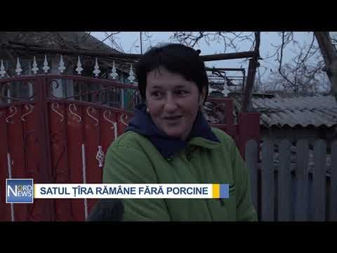 Unde au dispărut porcii din Moldova / VIDEO