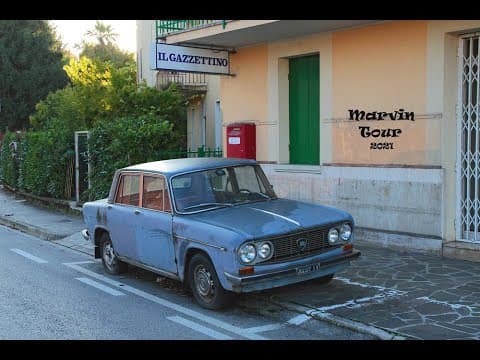Un ”hârb” a devenit vedetă în Italia / VIDEO