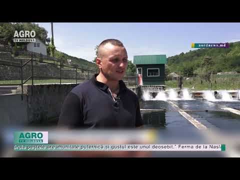 Unde se află unica fermă de păstrăv din Moldova?