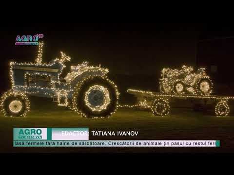 Crăciun în agricultură: Fermierii sunt pregătiți să întâmpine sărbătorile