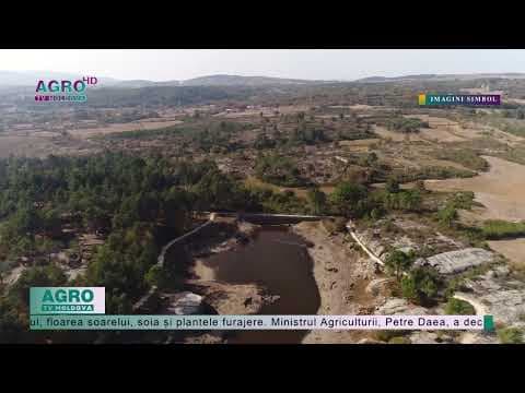 Fermierii români afectați de secetă vor primi despăgubiri