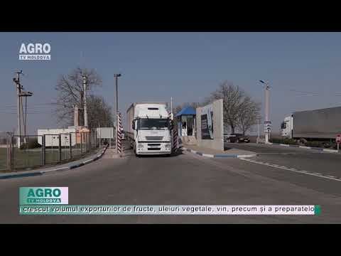Cresc exporturile și pe timp de pandemie. VEZI CE PRODUSE EXPORTĂ PRODUCĂTORII