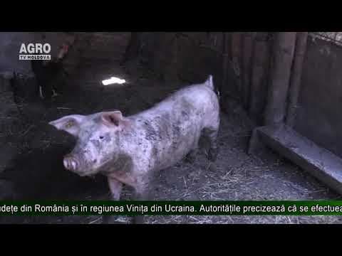 Situația epizootică în Republica Moldova