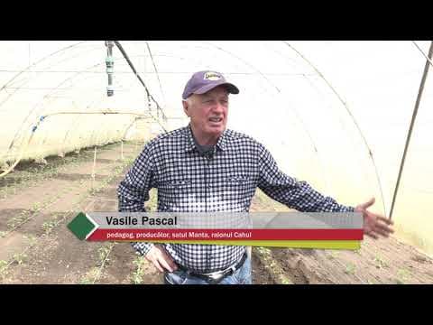 Baștina din 18.04.2021