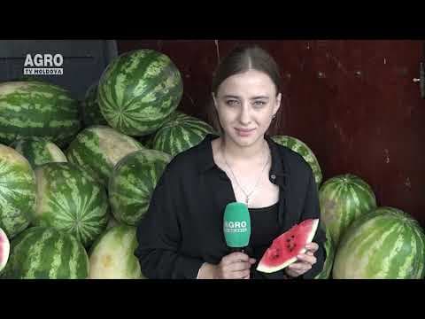 Cumpărăm harbuji de import, în loc să-i mâncăm pe ai noștri