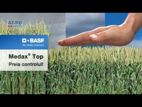 Regulator de creștere Medax Top - BASF