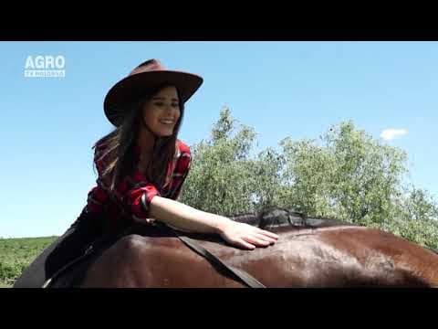 AGRO TV News – 28. 07. 2020