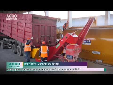 Au scăzut cu 50% exporturile de cereale
