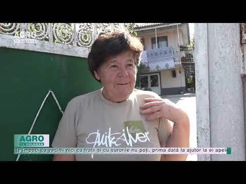 Ruda cea mai apropiată e vecinul bun